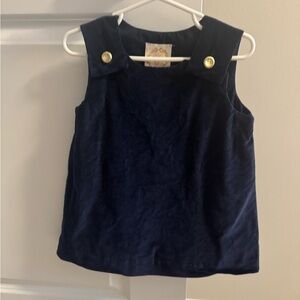 TBBC 3T Navy Velvet Dress